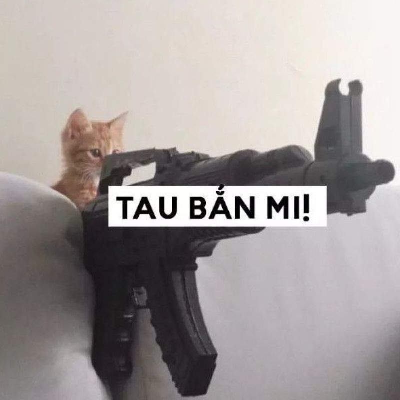 Meme mèo cầm súng