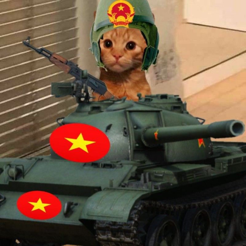 Meme mèo cầm súng