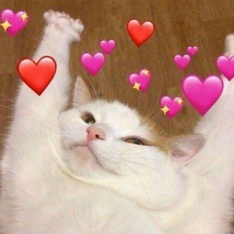 69+ Meme thả tim hài hước, đáng yêu khiến ai cũng tan chảy 19 meme thả tim