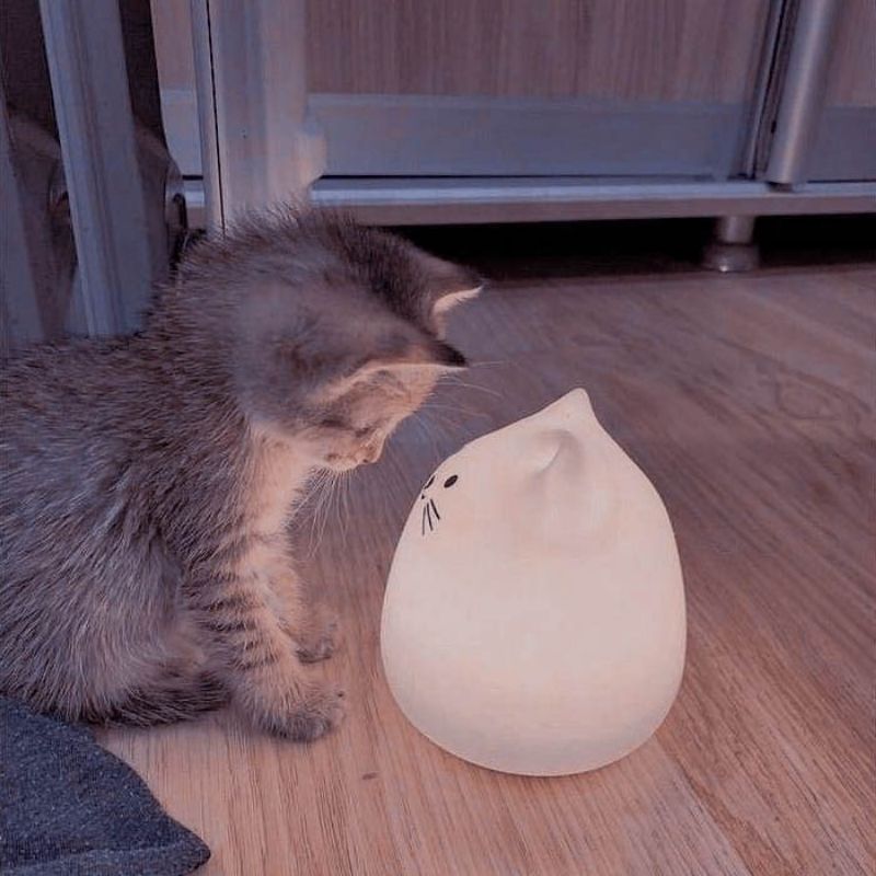 201+ Avatar vô tri mèo dễ thương, hài hước và cực đáng yêu 25 avatar vô tri mèo hài hước ngáo