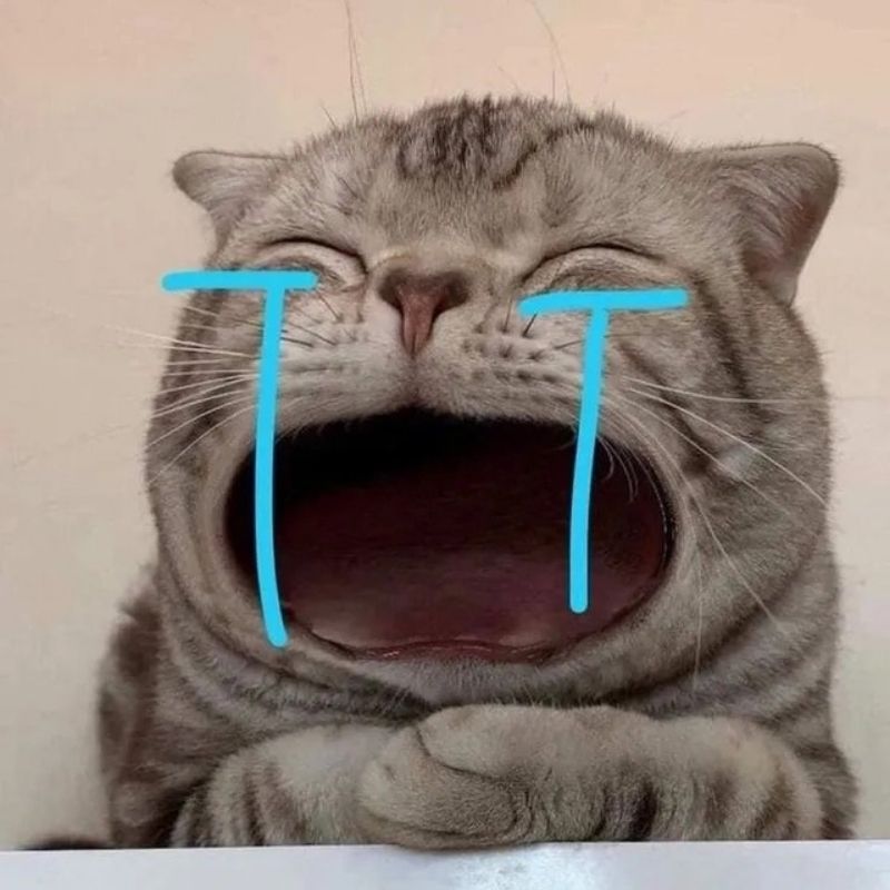 201+ Avatar vô tri mèo dễ thương, hài hước và cực đáng yêu 41 avatar vô tri mèo khóc buồn cười