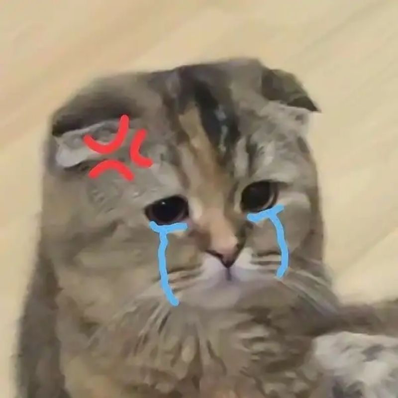 201+ Avatar vô tri mèo dễ thương, hài hước và cực đáng yêu 44 avatar vô tri mèo khóc dễ thương