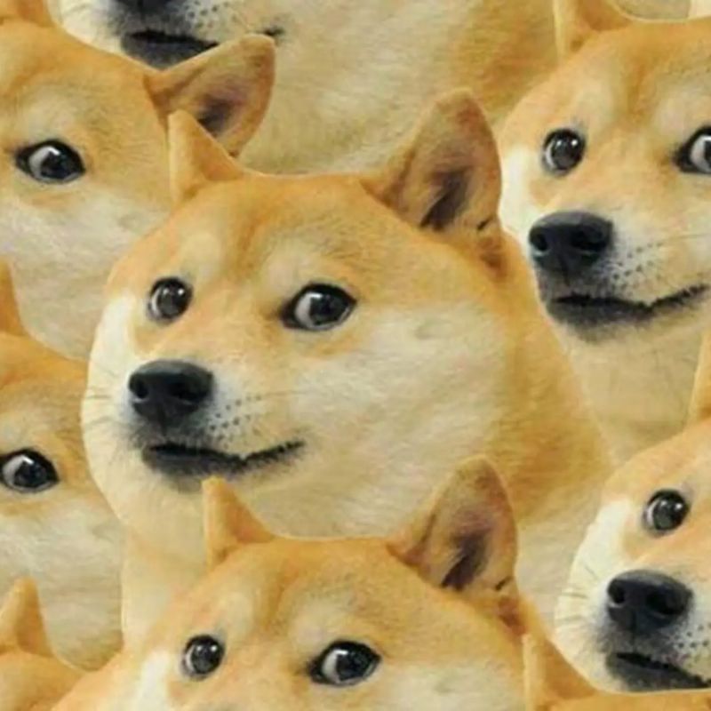 BST 99+ đếch quan tâm meme chất chơi, hài bựa hot nhất 21 đếch quan tâm meme