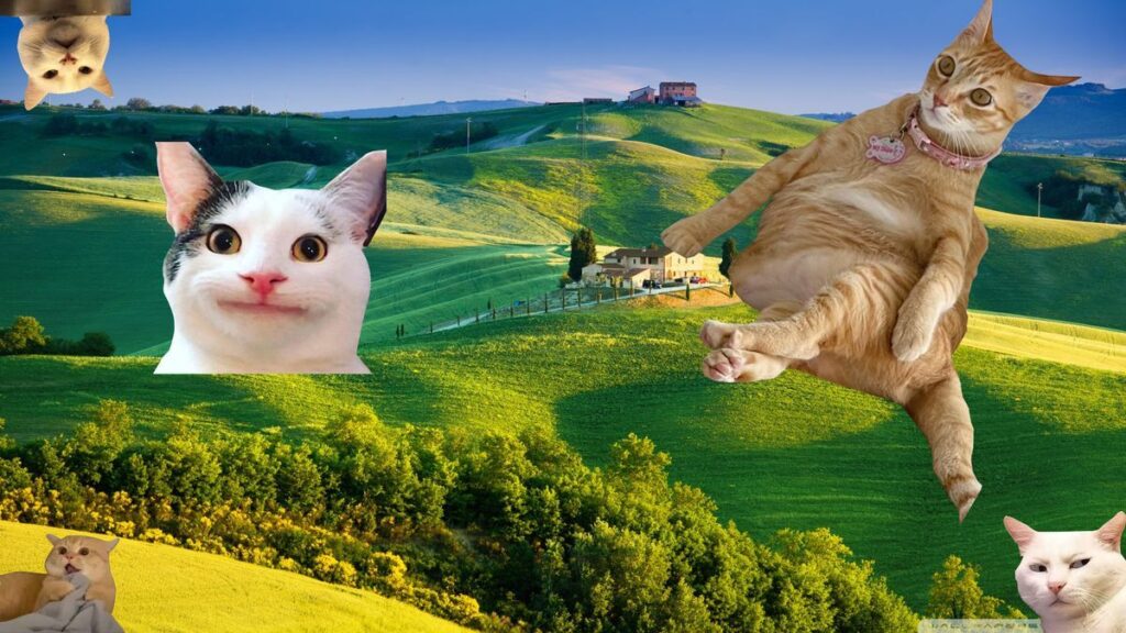 hình nền động vật vô tri