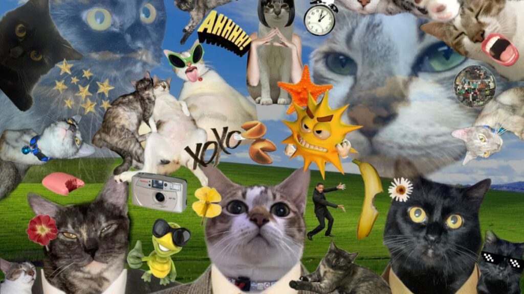 ảnh nền vô tri cho máy tính