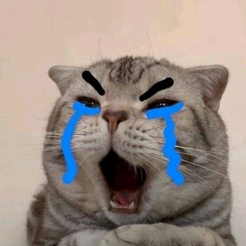 99+ mẫu meme bất lực cực hài hước khiến dân mạng cười ngất 5 meme bất lực