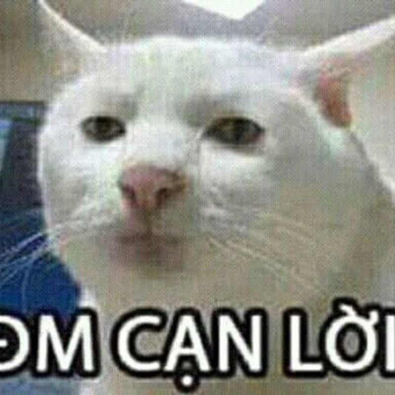 99+ mẫu meme bất lực cực hài hước khiến dân mạng cười ngất 6 meme bất lực