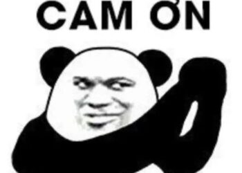 meme cảm ơn