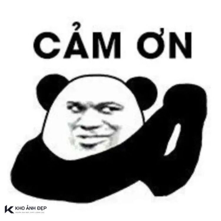 meme cảm ơn