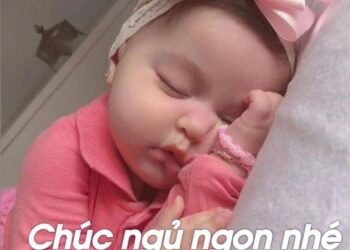 +99 meme chúc ngủ ngon hài hước, dễ thương hot nhất năm nay
