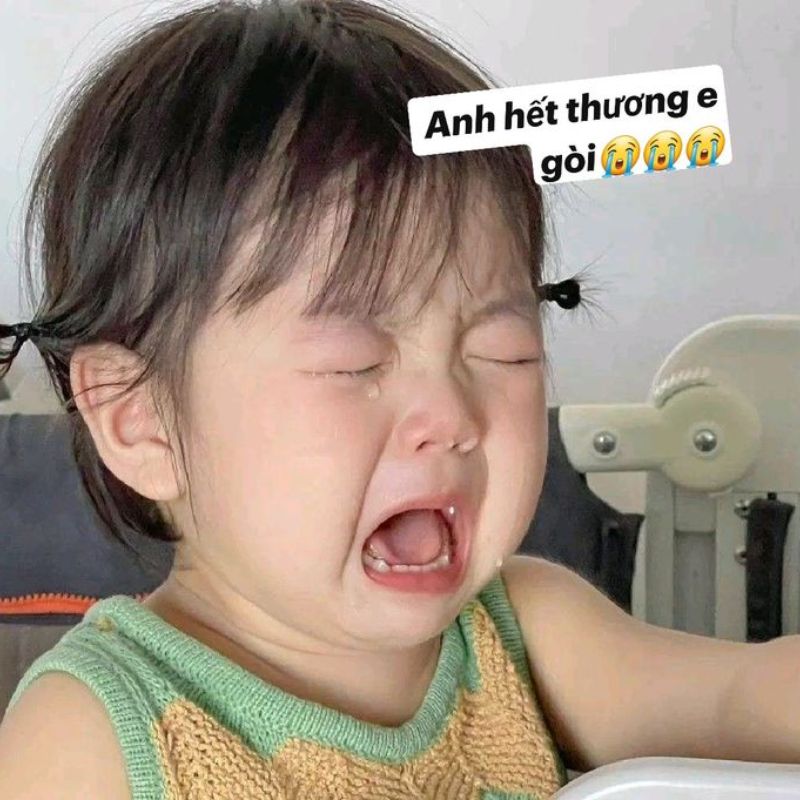 99+ Ảnh meme em bé hài hước, dễ thương gây sốt mạng xã hội 18 Ảnh bé khóc đáng yêu và cute