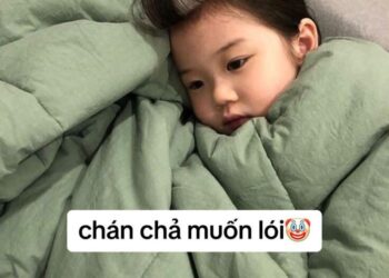 Meme em bé đáng yêu