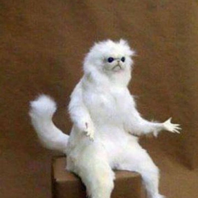 99+ ảnh meme khó hiểu nhưng cực hài hước, troll bạn bè 13 meme kho hieu 10