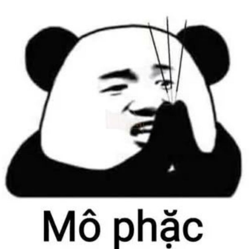 99+ ảnh meme khó hiểu nhưng cực hài hước, troll bạn bè 11 meme gấu trúc khó hiểu