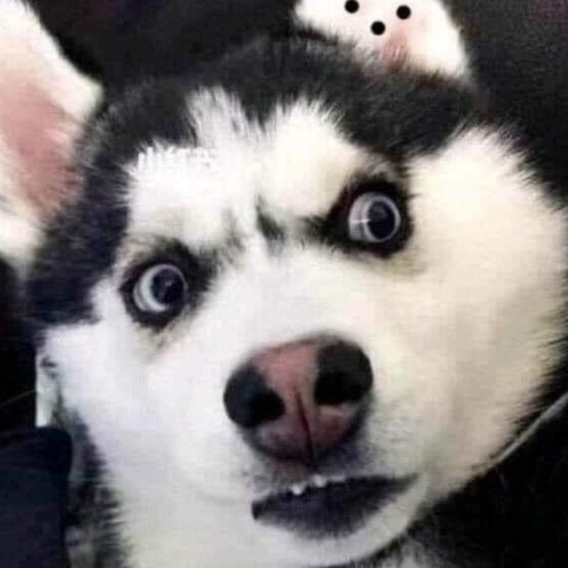 99+ ảnh meme khó hiểu nhưng cực hài hước, troll bạn bè 19 meme kho hieu 14