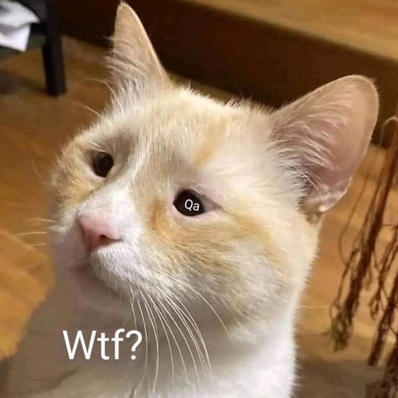 99+ ảnh meme khó hiểu nhưng cực hài hước, troll bạn bè 7 meme kho hieu 2