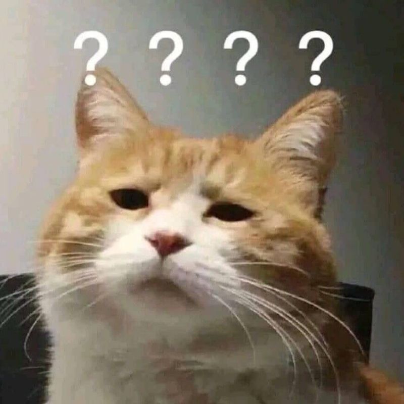 99+ ảnh meme khó hiểu nhưng cực hài hước, troll bạn bè 6 meme kho hieu 3