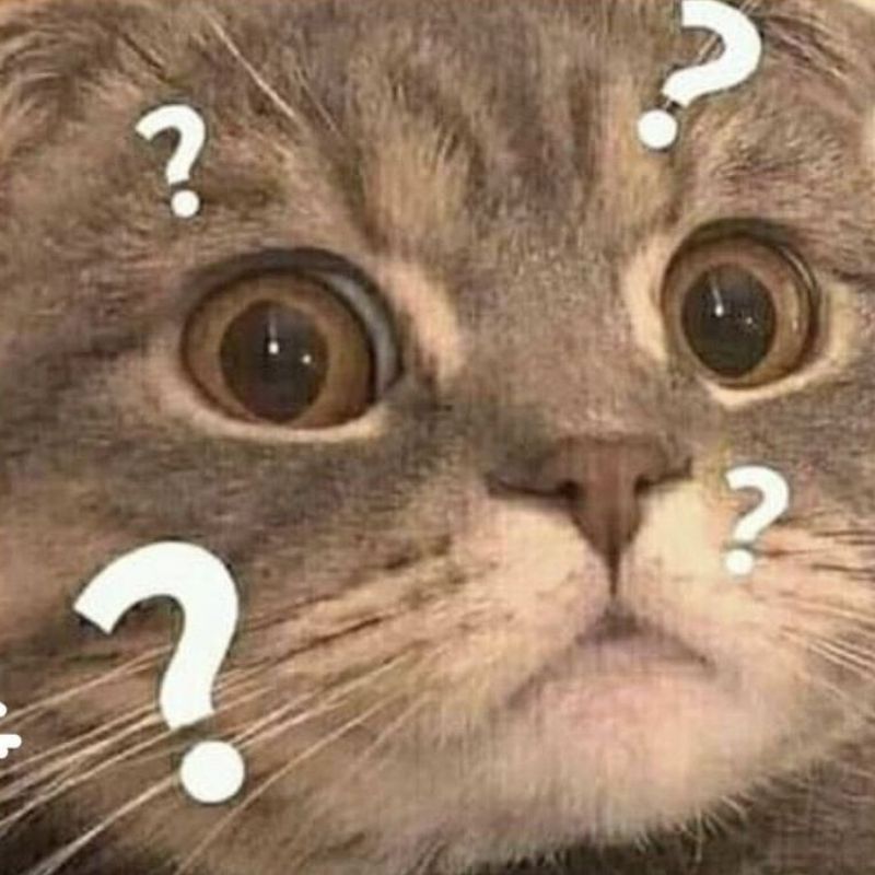 99+ ảnh meme khó hiểu nhưng cực hài hước, troll bạn bè 4 meme dấu chấm hỏi mèo khó hiểu