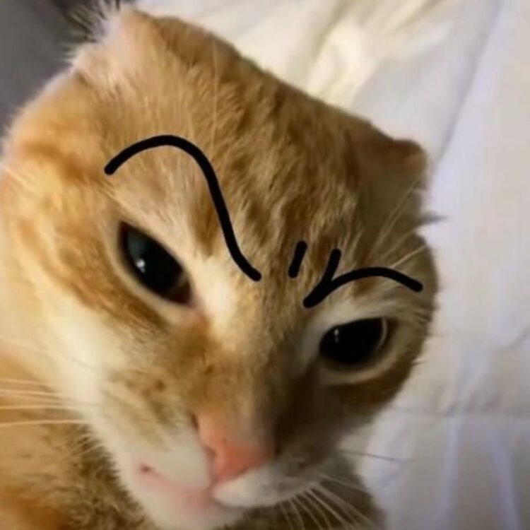 99+ ảnh meme khó hiểu nhưng cực hài hước, troll bạn bè