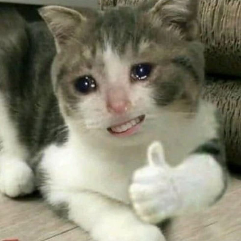 100+ Meme like hài hước, bựa, dễ thương hot trend nhất 3 meme like