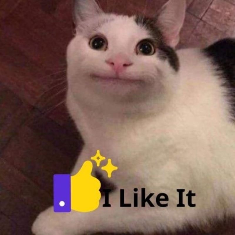100+ Meme like hài hước, bựa, dễ thương hot trend nhất 4 Meme like chú mèo dễ thương