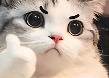 +100 meme like hài hước, dễ thương hot trend nhất hiện nay