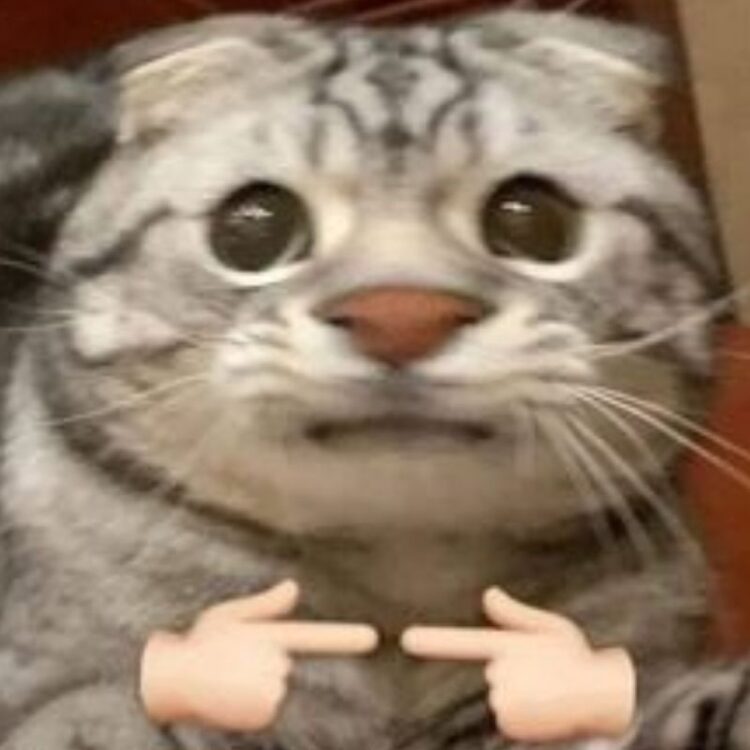 Top 99+ meme ngại ngùng cực đáng yêu, cười thả ga năm 2025