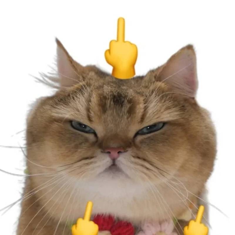 99+ meme ngón giữa chất lừ, dùng comment là “thấm” liền 19 meme ngon giua 15