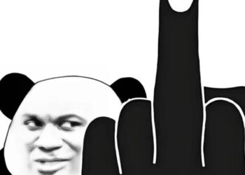 Bộ sưu tập meme ngón giữa hài hước, cười ngất ngây năm 2026