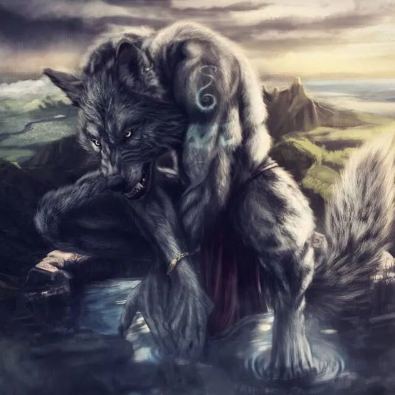 99+ bộ sưu tập sói cô độc meme ngầu và đầy tâm trạng 15 meme sói cô độc