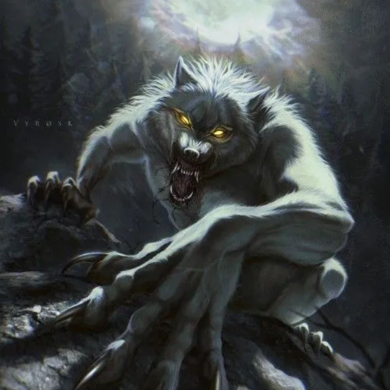 99+ bộ sưu tập sói cô độc meme ngầu và đầy tâm trạng 16 meme sói cô độc