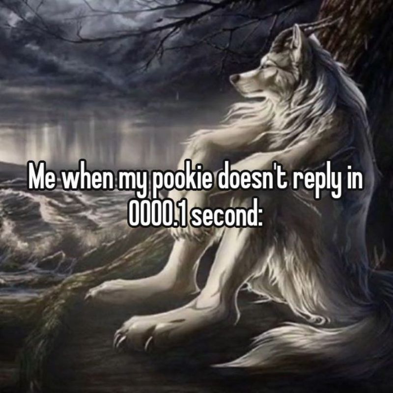 99+ bộ sưu tập sói cô độc meme ngầu và đầy tâm trạng 23 meme sói cô độc