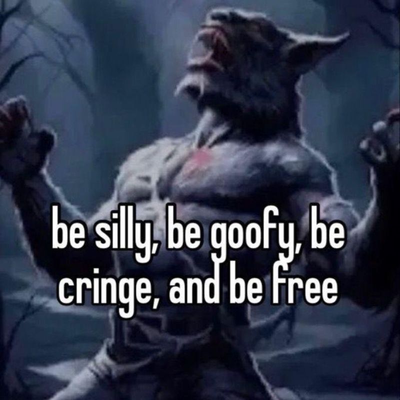 99+ bộ sưu tập sói cô độc meme ngầu và đầy tâm trạng 22 meme sói cô độc