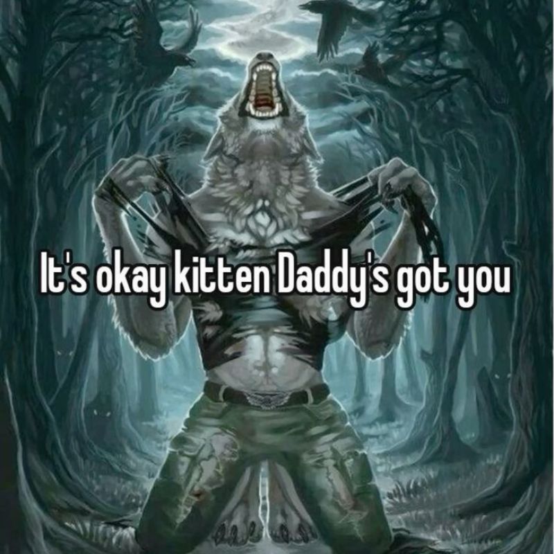 99+ bộ sưu tập sói cô độc meme ngầu và đầy tâm trạng 20 meme sói cô độc