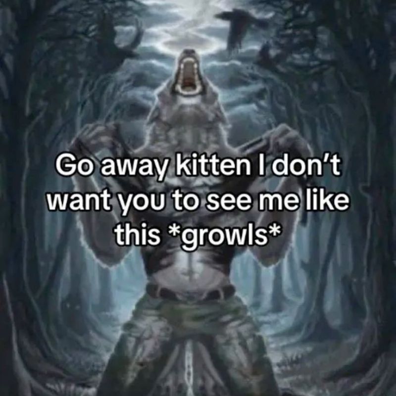 99+ bộ sưu tập sói cô độc meme ngầu và đầy tâm trạng 19 meme sói cô độc