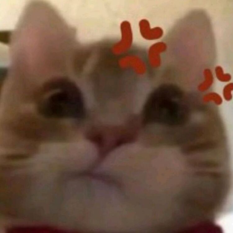 100+ Meme tức giận cute, đỏ mặt cực hài nhìn là muốn cười