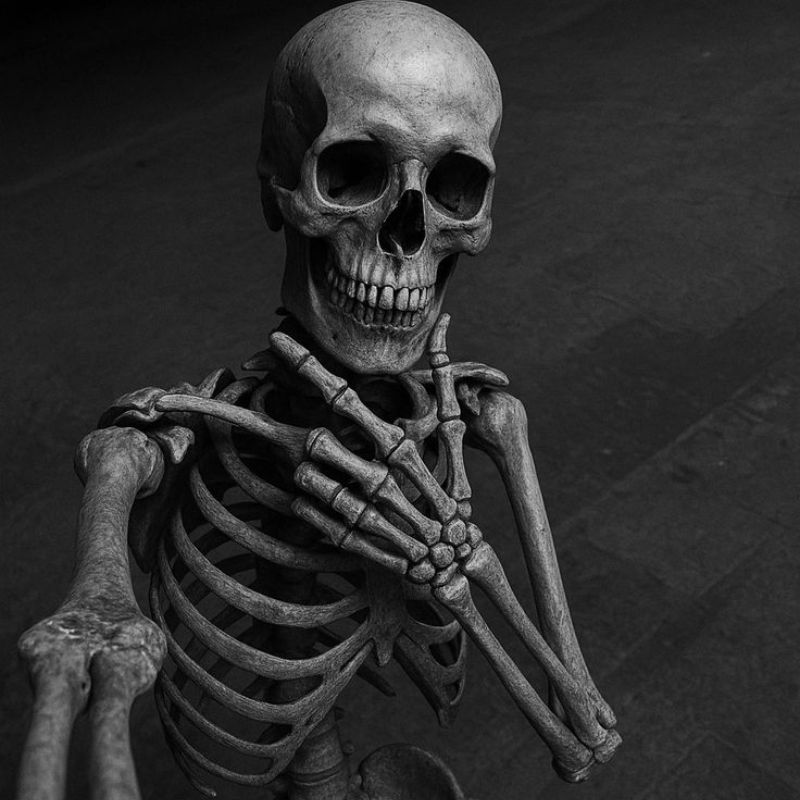 99+ Ảnh skeleton meme hài hước nhất, đảm bảo cười vỡ bụng 11 Ảnh chế Skeleton siêu ngầu