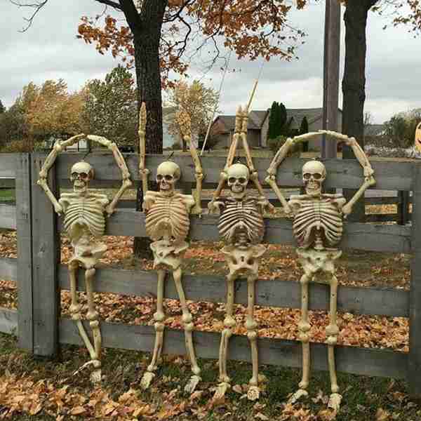 99+ Ảnh skeleton meme hài hước nhất, đảm bảo cười vỡ bụng 14 Ảnh chế Skeleton bá đạo