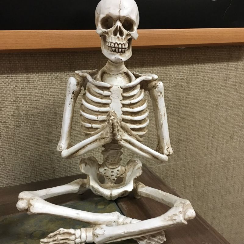 99+ Ảnh skeleton meme hài hước nhất, đảm bảo cười vỡ bụng 15 Ảnh chế Skeleton siêu bựa