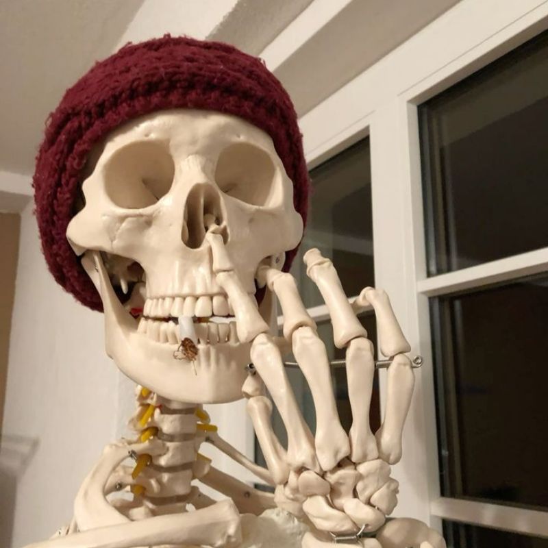99+ Ảnh skeleton meme hài hước nhất, đảm bảo cười vỡ bụng 17 Ảnh chế Skeleton siêu hài
