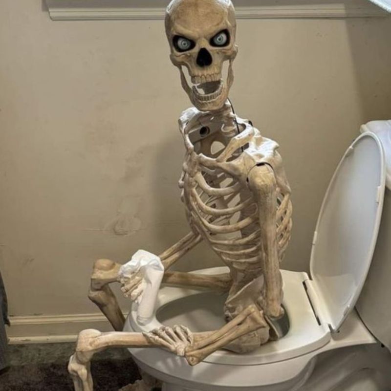 99+ Ảnh skeleton meme hài hước nhất, đảm bảo cười vỡ bụng 19 Ảnh chế Skeleton đi tolet siêu bựa