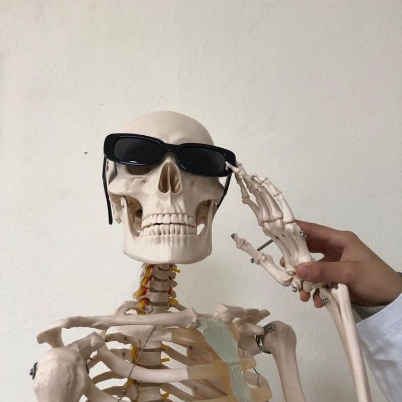 99+ Ảnh skeleton meme hài hước nhất, đảm bảo cười vỡ bụng 22 Ảnh chế Skeleton xin chào