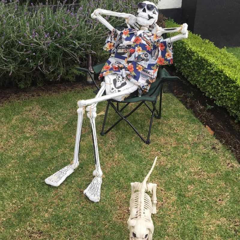 99+ Ảnh skeleton meme hài hước nhất, đảm bảo cười vỡ bụng 25 Meme Skeleton hài hước