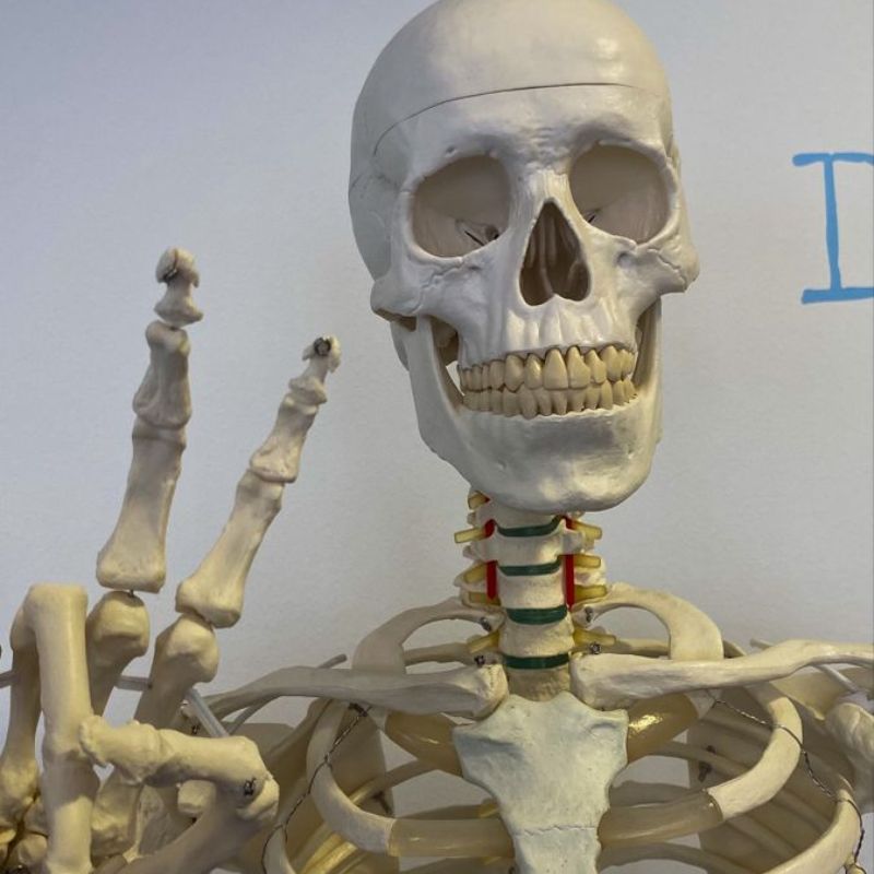 99+ Ảnh skeleton meme hài hước nhất, đảm bảo cười vỡ bụng 5 Ảnh chế Skeleton siêu hài hước