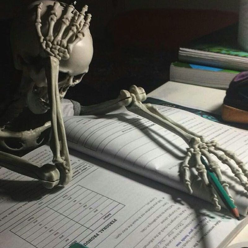 99+ Ảnh skeleton meme hài hước nhất, đảm bảo cười vỡ bụng 7 Skeleton meme làm bài tập