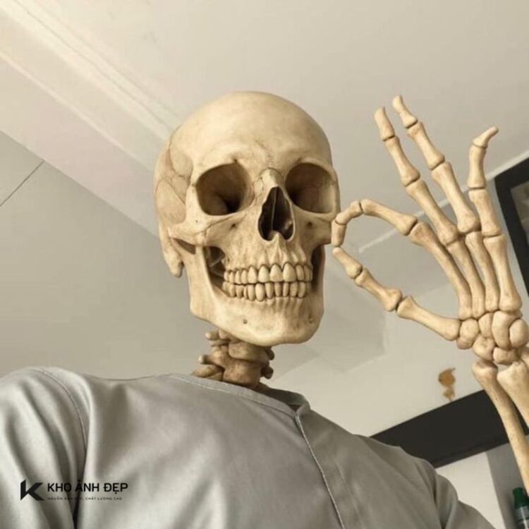 Ảnh chế Skeleton meme hài hước