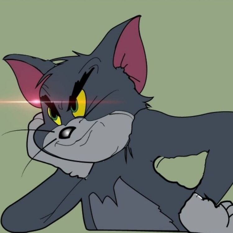 Khám phá ngay bộ ảnh Tom meme​ được sử dụng rộng rãi trong cộng đồng mạng. Cùng lưu ngay những khoảnh khắc meme mèo Tom từ “Tom and Jerry”.