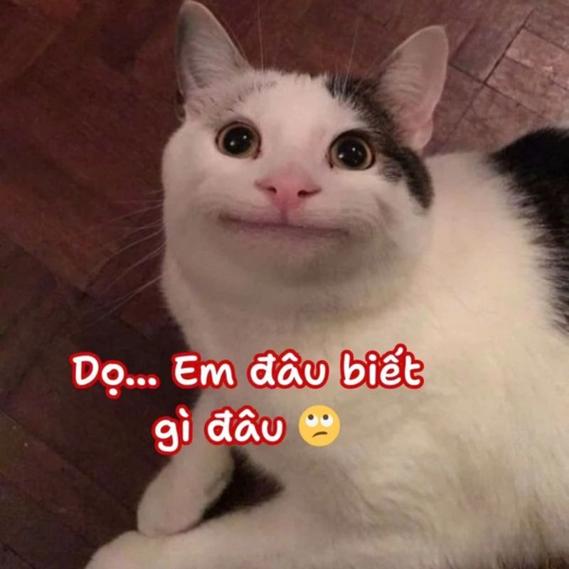 dọ em đâu biết gì đâu