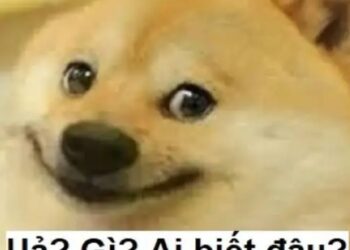 ảnh ai biết gì đâu meme