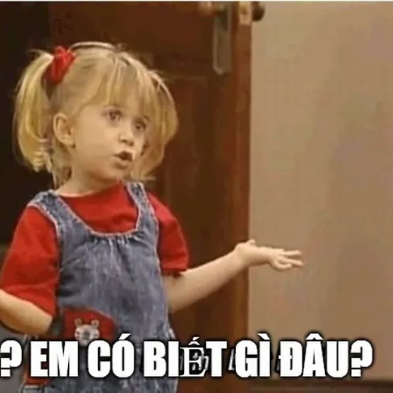 ảnh ai biết gì đâu meme